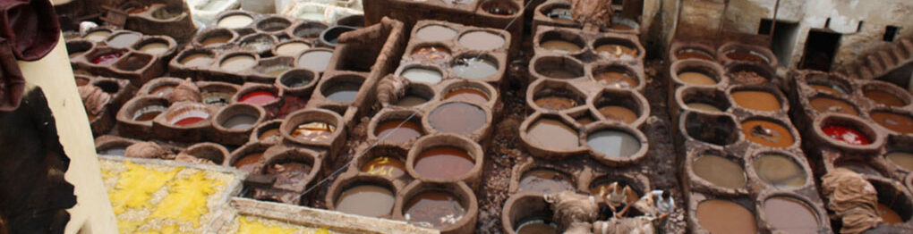 Leather Manufacturing Process, Kanpur, Uttar Pradesh